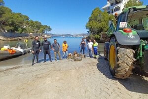 Imagen Actuación de limpieza del litoral de Calvià