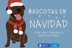 Image Pets at Christmas - For responsible ownership