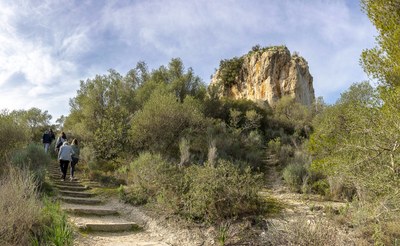 Passeig pels camins