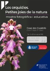 <bound method DexterityContent.Title of <Event at /fs-calvia/calvia/ca/calvia-al-dia/agenda/3889>>.