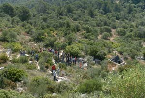 El Museu Arqueològic ja té projecte guanyador.