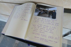 Calvià diu NO a la violència de gènere.