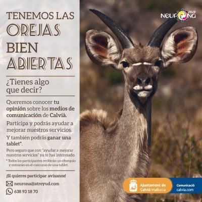 Mitjans de comunicació municipals.