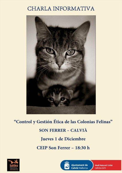 Xerrada informativa sobre colònies felines.