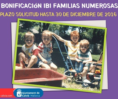 Bonificació IBI Famílies Nombroses.