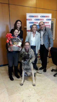 Concurs #YoRespondo de Calvià 2000.