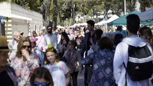 Calvià celebra el seu St. Patrick's Day.