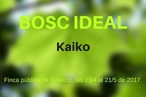 Exposició «Bosc Ideal».