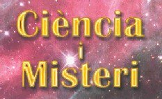 Activitats a l'Escola d'Adults.