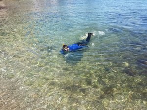 Neteja del fons marí de la platja de Cas Català.