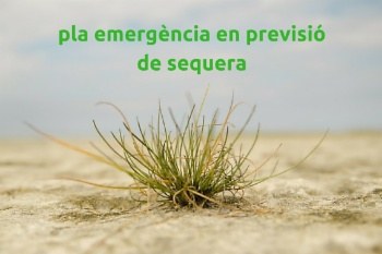 Aprovat inicialment en el Ple.