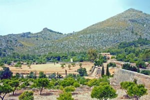 Millorant la finca pública de Galatzó.