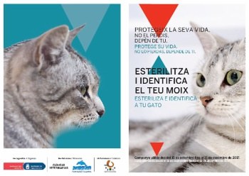 Bons resultats de la campanya de moixos.