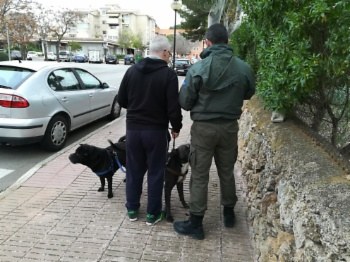 Informades 476 persones i 12 denúncies posades.