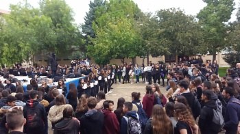 Calvià diu NO a les violències masclistes.