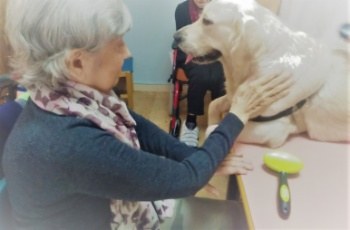 La Llar comença a aplicar una teràpia amb cans.