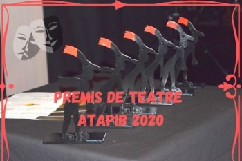 Es lliuren a Calvià els premis ATAPIB 2020.