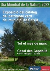 Calvià commemora el Dia Mundial de la Natura.