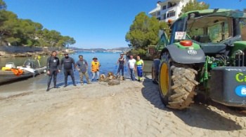 Actuació de neteja del litoral de Calvià.
