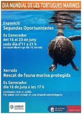 Exposició Dia Mundial de les Tortugues Marines.