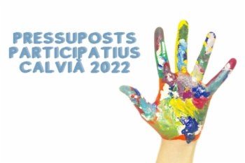 Fase votacions Pressupostos Participatius 2022.