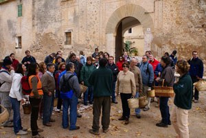 70 persones a la Jornada Micològica de Galatzó.