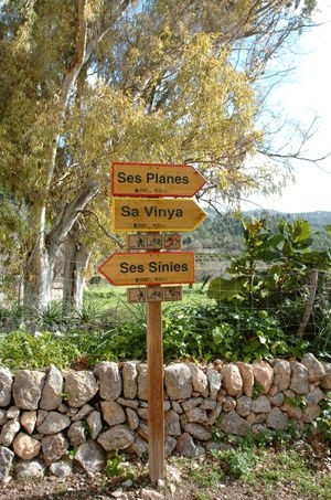 Recuperats quatre itineraris de la finca Galatzó.