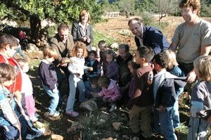 Alliberen més de 10 tortugues mora a Calvià.