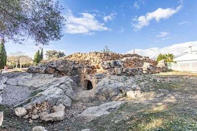 Turriforme escalonat de son Ferrer (necròpoli)