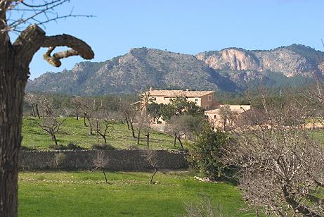 CAPDELLA O CALVIA POSSES