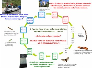 Helicopter treatment in forest areas.