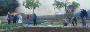 Training for municipal urban garden users.