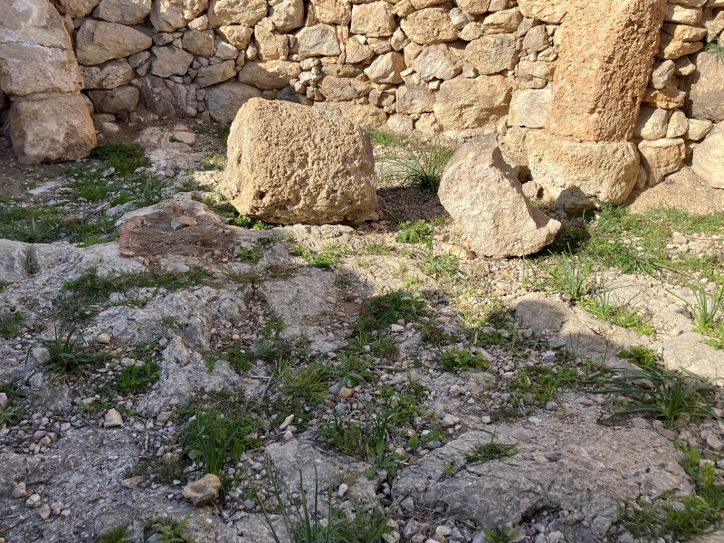 Vandalism against prehistoric heritage in the Puig de sa Morisca Archaeological Park in Santa Ponça.