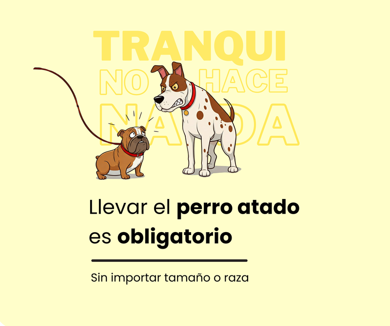 Recuerda