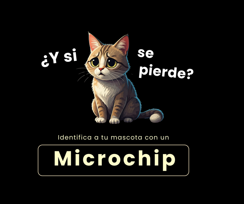 Recuerda