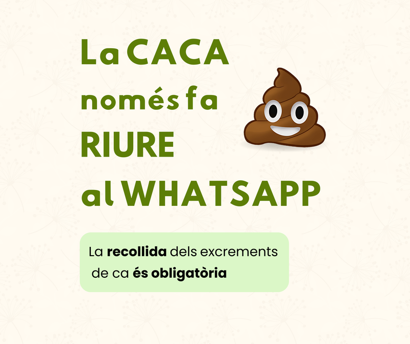 Recuerda