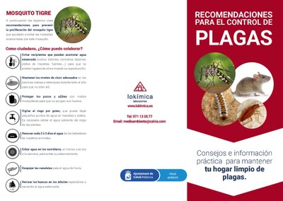 Tríptico plagas página 1