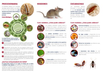 Tríptico plagas página 2