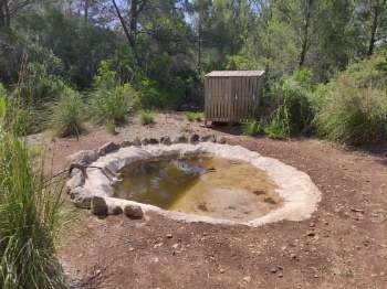 Observatorio de aves
