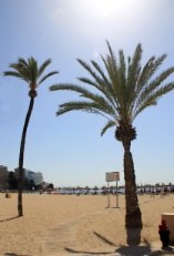 <bound method DexterityContent.Title of <Event at /fs-calvia/calvia/es/calvia-al-dia/agenda/3020>>.