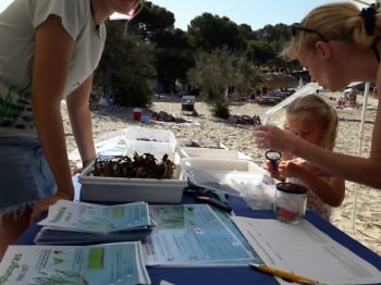 <bound method DexterityContent.Title of <Event at /fs-calvia/calvia/es/calvia-al-dia/agenda/3330>>.