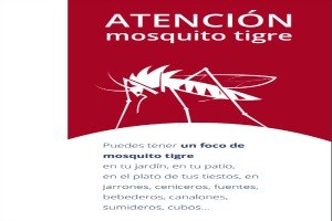 Campaña contra el mosquito tigre.