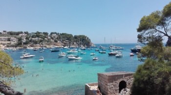 Finaliza el proyecto 'La Mar' sobre posidonia.