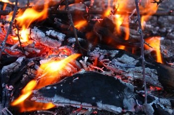Foguerons de Sant Antoni 2018.