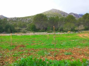 Infórmate sobre la creación de un banco de tierras.