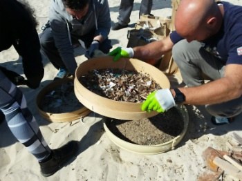 Jornada de limpieza en la playa de Santa Ponça.