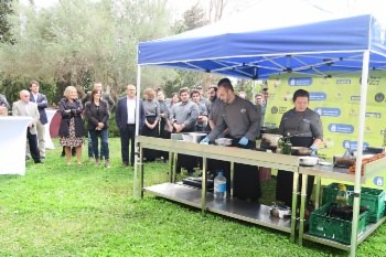 XII Mostra de Cuines de Calvià.