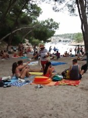 Campañas de sensibilización sobre la Posidonia.