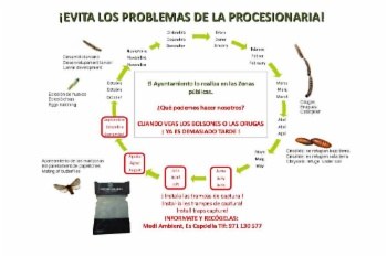 Ya se pueden adquirir las trampas.