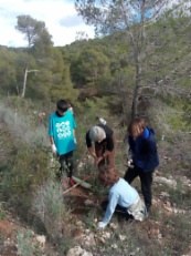 Reforestación en na Burguesa.